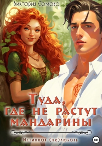 Постер книги Туда, где не растут мандарины