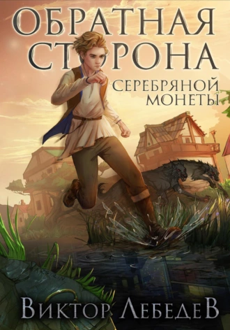 Постер книги Обратная сторона серебряной монеты