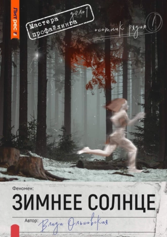 Постер книги Зимнее солнце