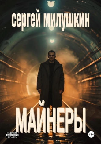 Постер книги Майнеры