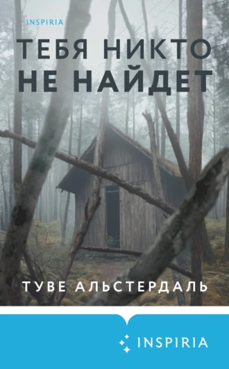 Постер книги Тебя никто не найдет