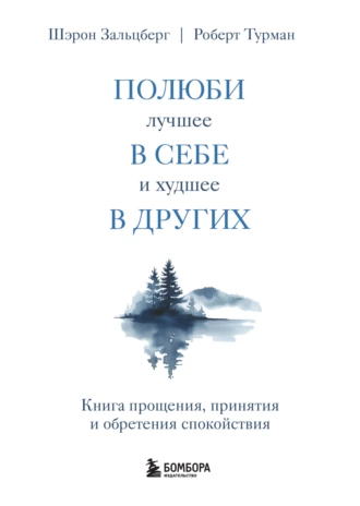 Постер книги Полюби лучшее в себе и худшее в других. Книга прощения, принятия и обретения спокойствия