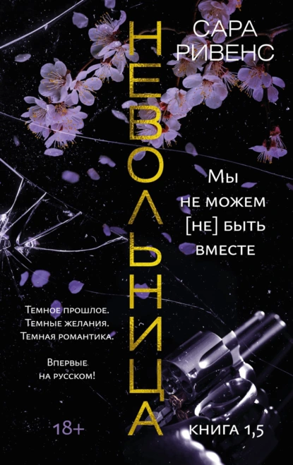 Постер книги Невольница. Книга 1,5. Мы не можем (не) быть вместе