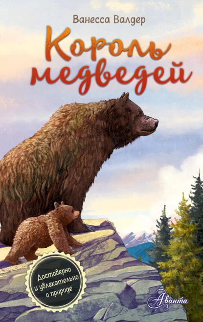 Постер книги Король медведей