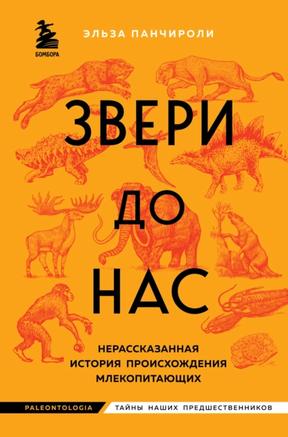 Постер книги Звери до нас. Нерассказанная история происхождения млекопитающих