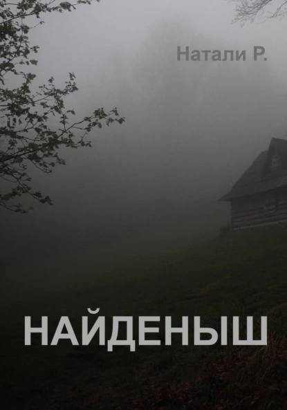 Постер книги Найденыш