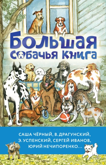 Постер книги Большая собачья книга