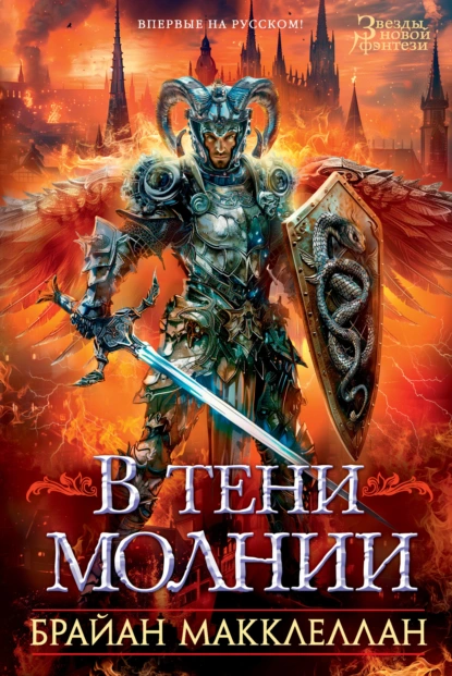 Постер книги В тени молнии